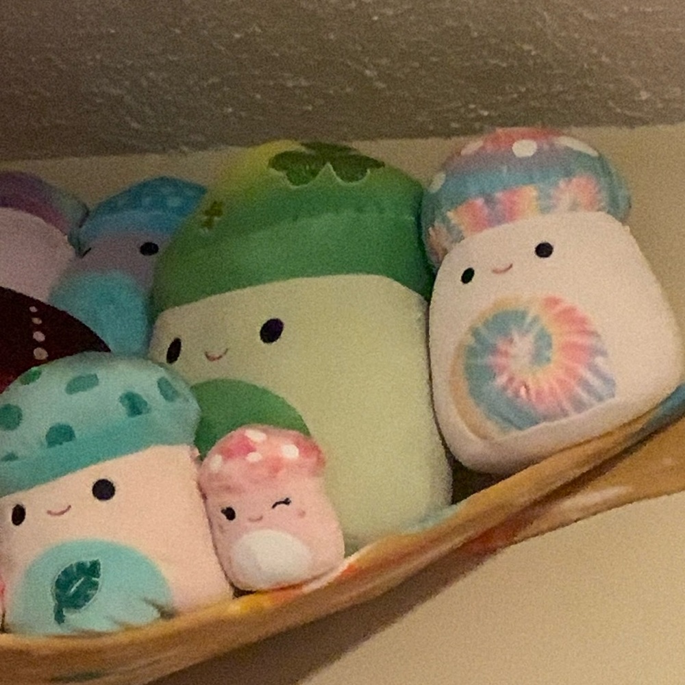 HUGE Mushroom Squishmallow bundle NWT, almost every mushroom squishmallow - Picture 2 of 11
